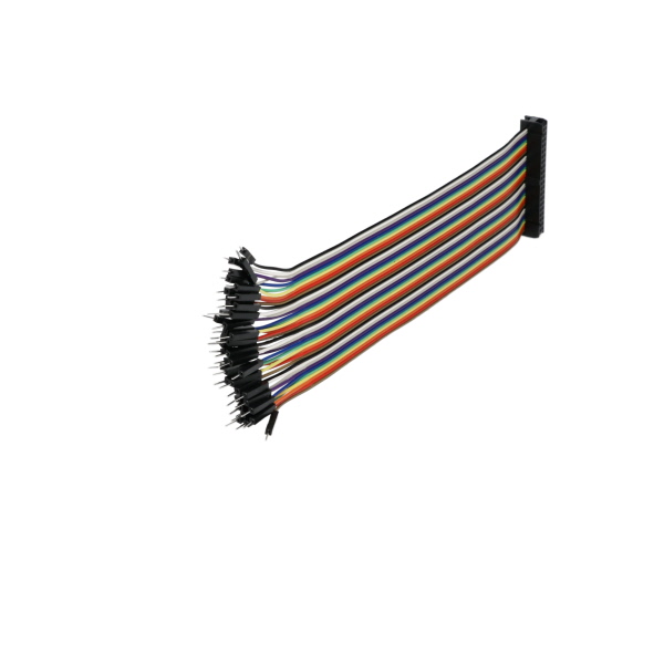 Male Multi-Connector IDC Colored-Ribbon 26 Pin BC-32675